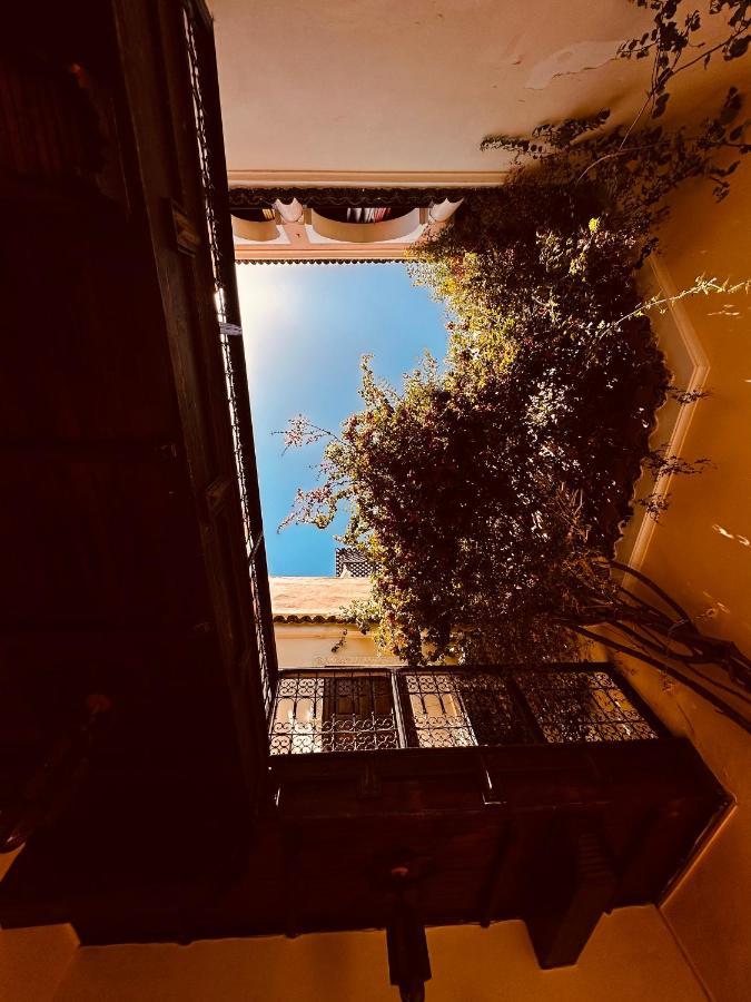 riad msholidays - privatisé jusqu'à 6 personnes - bassin Marraquexe Exterior foto